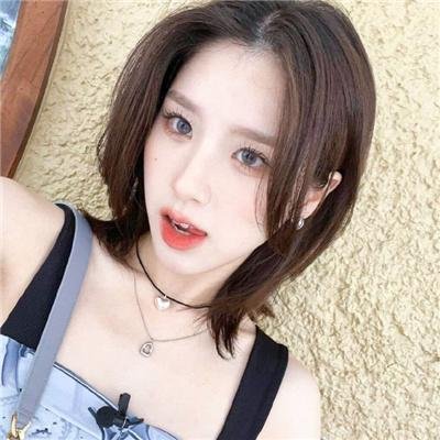 斑马